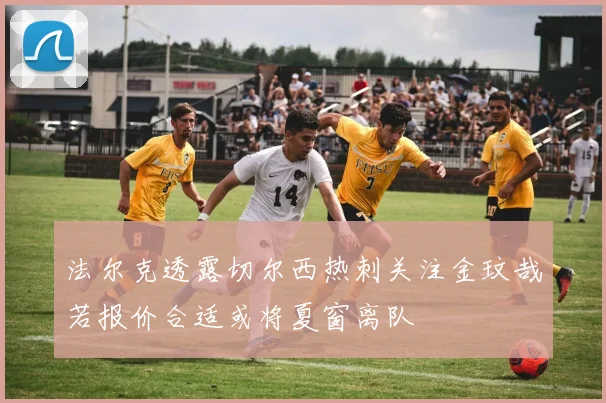 法尔克透露切尔西热刺关注金玟哉若报价合适或将夏窗离队